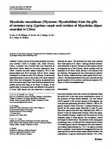 Myxobolus musseliusae (Myxozoa: Myxobolidae) from ... - Springer Link