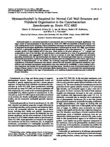 Myxoxanthophyll Is Required for Normal Cell Wall Structure and ...