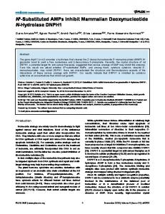 N6-Substituted AMPs Inhibit Mammalian ... - Semantic Scholar
