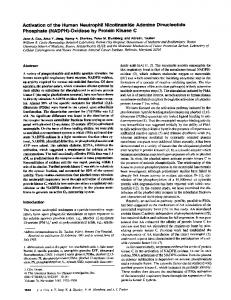 (NADPH)-Oxidase by Protein Kinase C