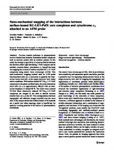 Nano-mechanical mapping of the interactions ... - BioMedSearch