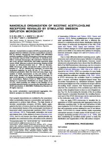 nanoscale organization of nicotinic acetylcholine ... - Semantic Scholar