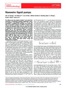 Nanowire liquid pumps - MIT