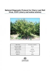 National Diagnostic Protocol for Cherry Leaf Roll Virus, CLRV (cherry ...