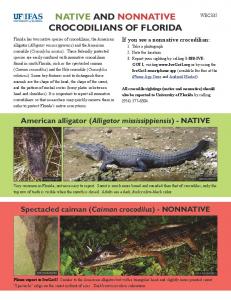 Native aNd NONNative CrOCOdiliaNs Of flOrida