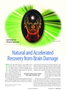 Natural and Accelerated Recovery from Brain Damage