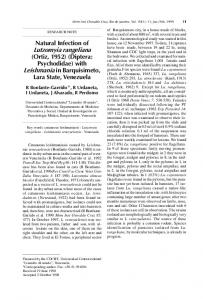 Natural Infection of Lutzomyia rangeliana - Semantic Scholar