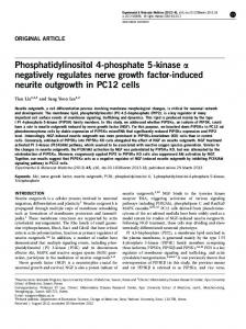 negatively regulates nerve growth factor-induced neurite ... - Nature