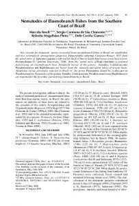 Nematodes of Elasmobranch Fishes from the Southern ... - Scielo.br