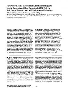 Nerve Growth Factor and Fibroblast Growth Factor Regulate Neurite ...