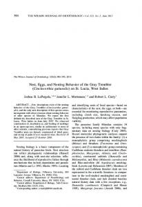 Nest, Eggs, and Nesting Behavior of the Gray Trembler (Cinclocerthia ...