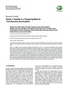 Netrin-1 Peptide Is a Chemorepellent in Tetrahymena thermophila