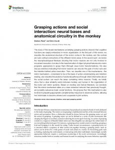 neural bases and anatomical circuitry in the monkey - Core