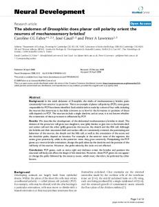 Neural Development - Springer Link