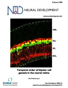 neural development - Springer Link