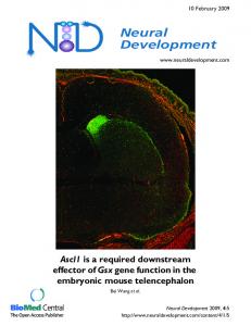 Neural Development - Springer Link