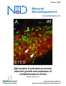 Neural Development - Springer Link