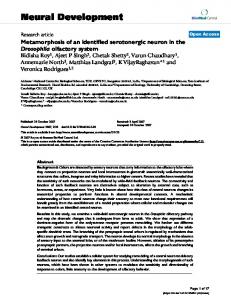 Neural Development - Springer Link