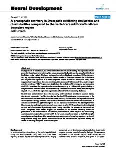 Neural Development - Springer Link