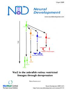 Neural Development - Springer Link