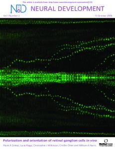 neural development - Springer Link