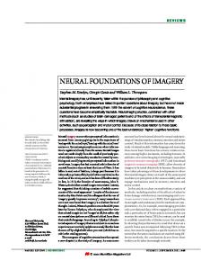 NEURAL FOUNDATIONS OF IMAGERY