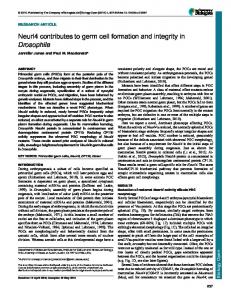 Neurl4 contributes to germ cell formation and integrity ... - Biology Open