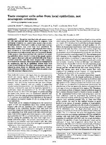 neurogenic ectoderm