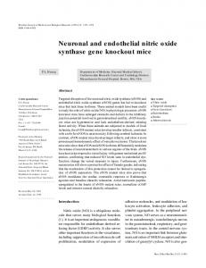 Neuronal and endothelial nitric oxide synthase gene ... - Scielo.br