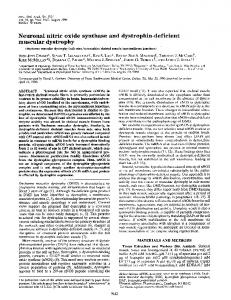 Neuronal nitric oxide synthase and dystrophin-deficient muscular ...