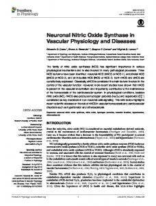 Neuronal Nitric Oxide Synthase in Vascular ... - Semantic Scholar