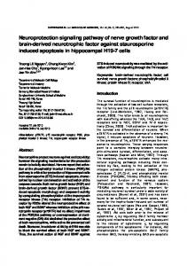 Neuroprotection signaling pathway of nerve ... - Semantic Scholar
