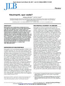 Neutrophil, quo vadis?