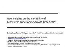 New Insights on the Variability of Ecosystem