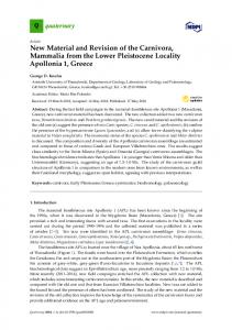 New Material and Revision of the Carnivora, Mammalia from ... - MDPI