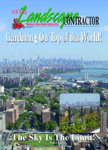 New York Landscape Contractor
