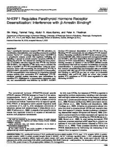 NHERF1 Regulates Parathyroid Hormone Receptor Desensitization ...