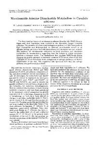 Nicotinamide Adenine Dinucleotide Metabolism in Candida albicans