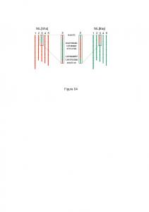 NIL[Sha] NIL[Bay] Figure S4 - PLOS