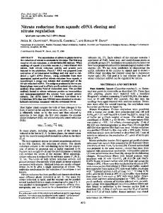 Nitrate reductase from squash: cDNA cloning and ... - Europe PMC