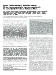 Nitric Oxide Mediates Relative Airway