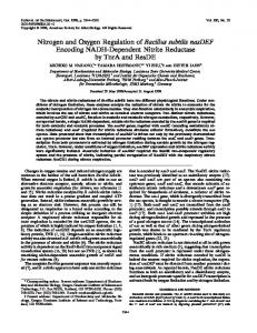 Nitrogen and Oxygen Regulation of Bacillus subtilis nasDEF Encoding ...