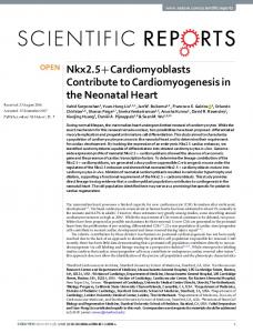 Nkx2.5+ Cardiomyoblasts Contribute to ...