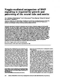 Noggin-mediated antagonism of BMP signaling is required for growth ...