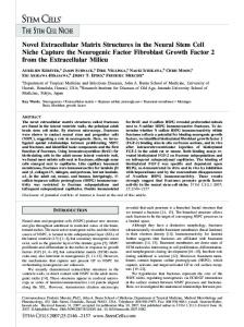 Novel Extracellular Matrix Structures in the ... - Wiley Online Library