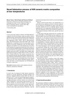 Novel fabrication process of AlN ceramic matrix