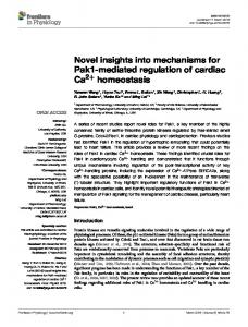 Novel insights into mechanisms for Pak1-mediated ... - Semantic Scholar