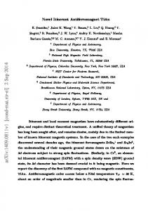 Novel Itinerant Antiferromagnet TiAu