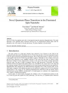 Novel Quantum Phase Transition in the Frustrated Spin Nanotube