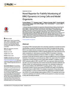 Novel Reporter for Faithful Monitoring of ERK2 ... - Semantic Scholar